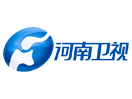 Ver Henan TV City Channel en Vivo y en Directo