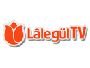 Ver Lâlegül TV en Vivo y en Directo