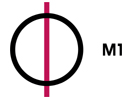 M1 live