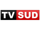 Ver TV Sud en Vivo y en Directo