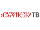 Ver Radonezh TV en Vivo y en Directo