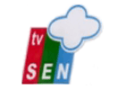 Ver TV Sen en Vivo y en Directo