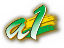 Ver A1 Islam en Vivo y en Directo