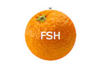 Ver Fresh TV en Vivo y en Directo