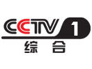 Ver CCTV 1 en Vivo y en Directo