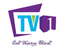 Ver TV 1 en Vivo y en Directo