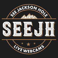 Jackson Hole Town Square Webcam