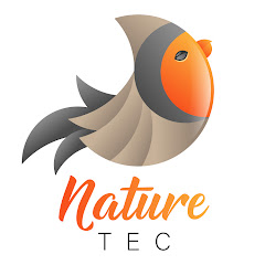 Uplengen Bird and Hedgehog Feeder Cam live