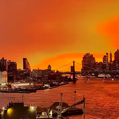 Ver Williamsburg Brooklyn Waterfront Live Cam en Vivo y en Directo